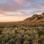 Wide view of the Dragoon Mountains in Cochise County, Arizona at sunset, with high-desert grassland, scattered ocotillo and yucca, and an empty two-lane road curving toward the horizon.